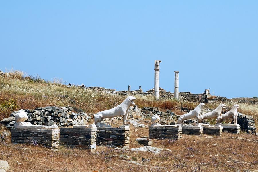 La « Terrasse des Lions »