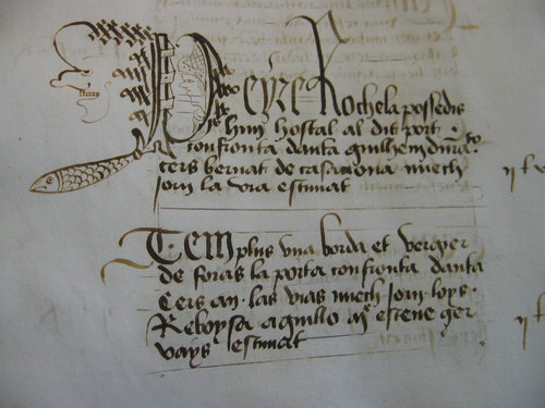 Castelnaudary, 1516, début de l'estime Peyre Rochela